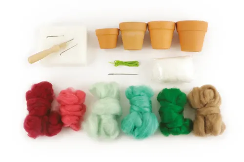 Vilten Cactustuin – DIY naaldviltset inhoud