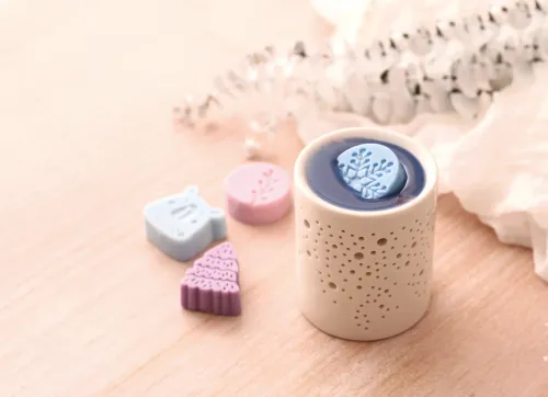 Waxmelt jeneverbes - DIY geurblokje maken | Incl. brander